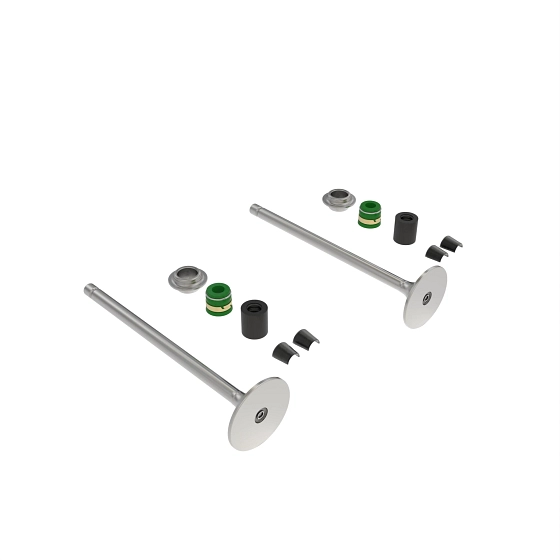 John Deere Intake Valve Kit - RE557890