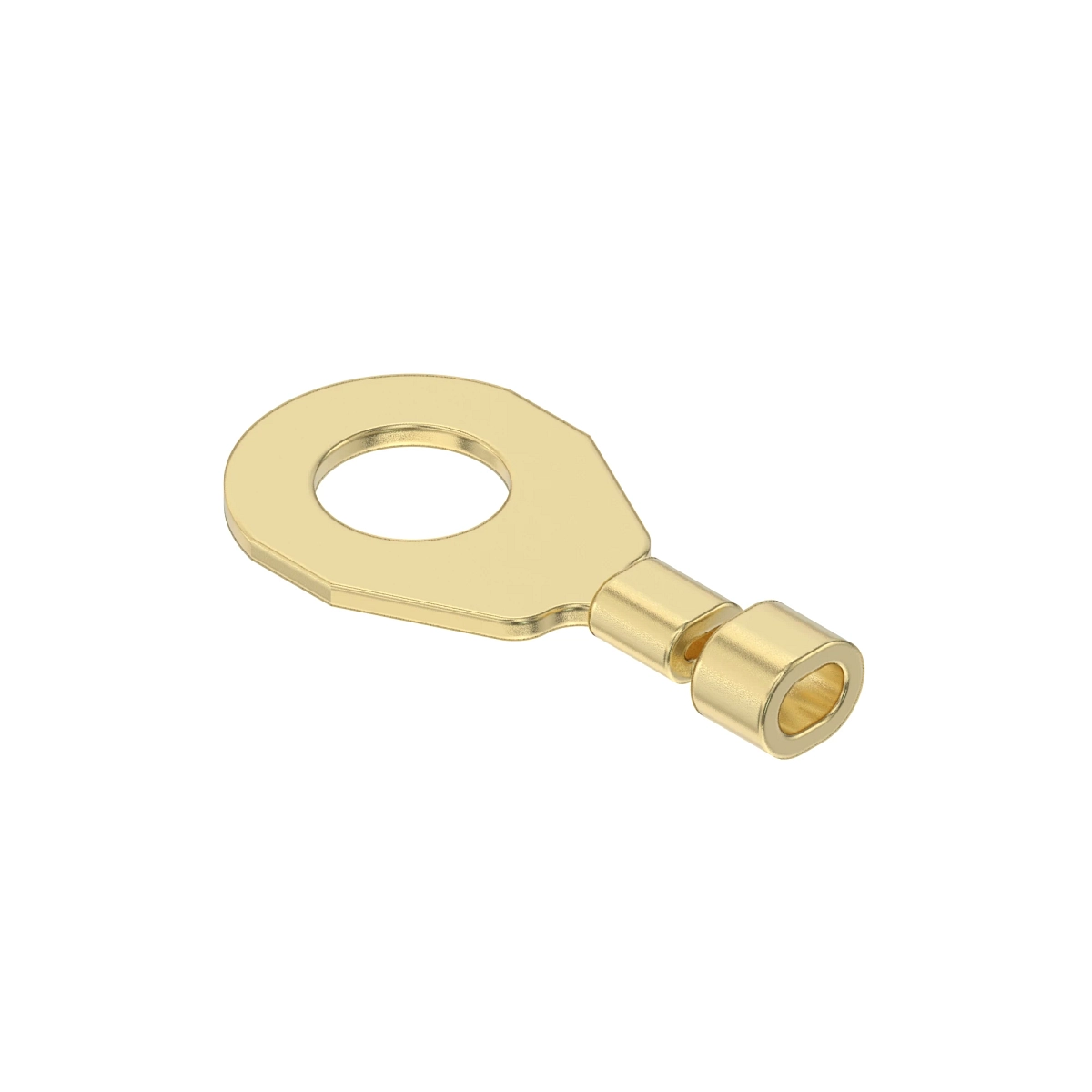 Term Delphi Ring M6