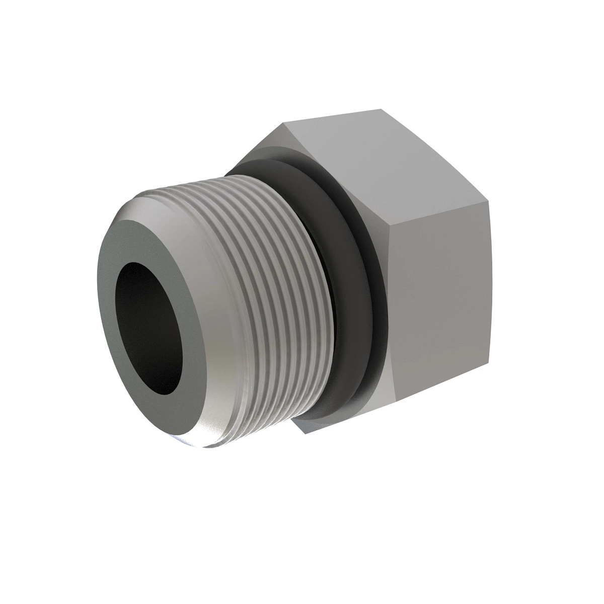 Fitting Plug
