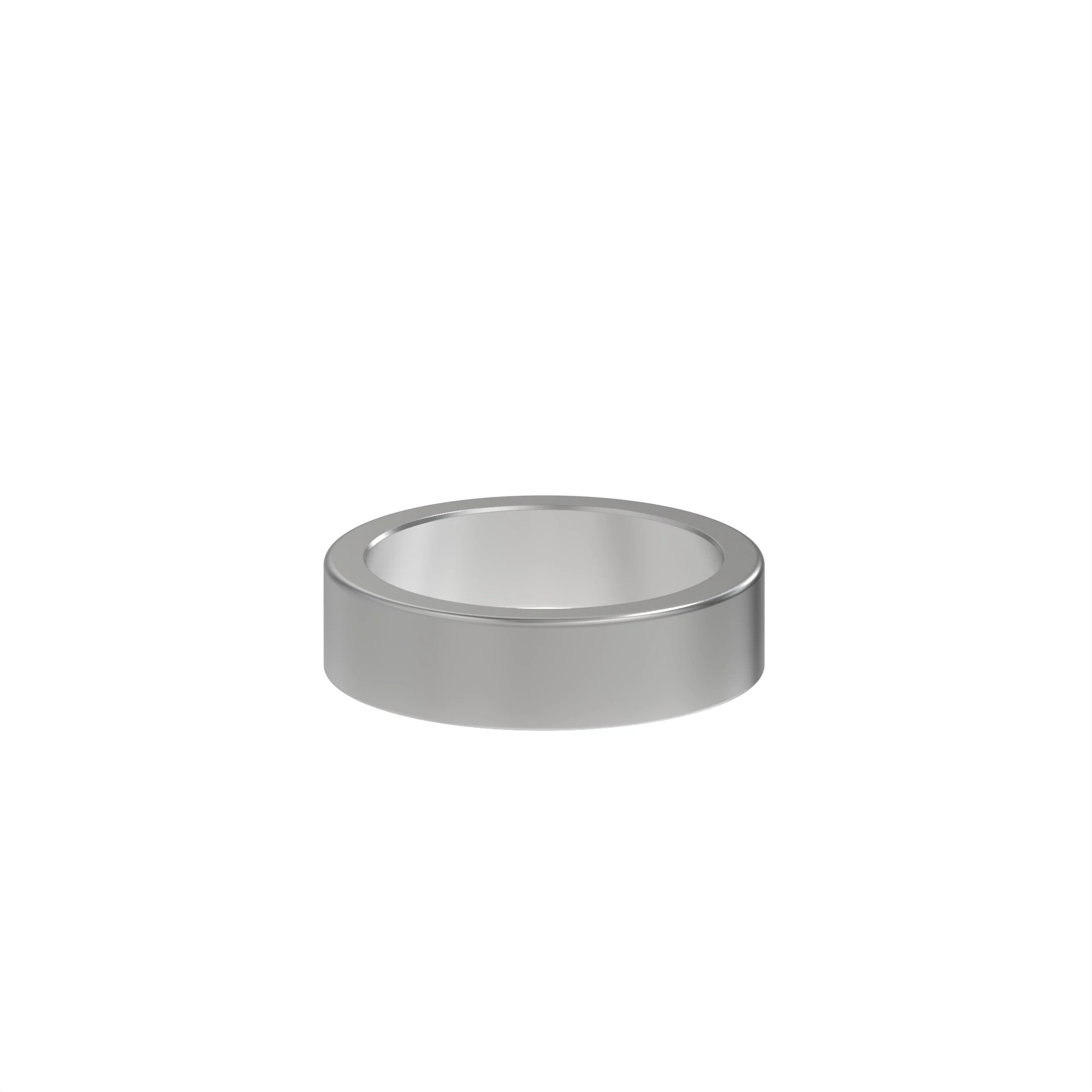 RADIALDICHTRING