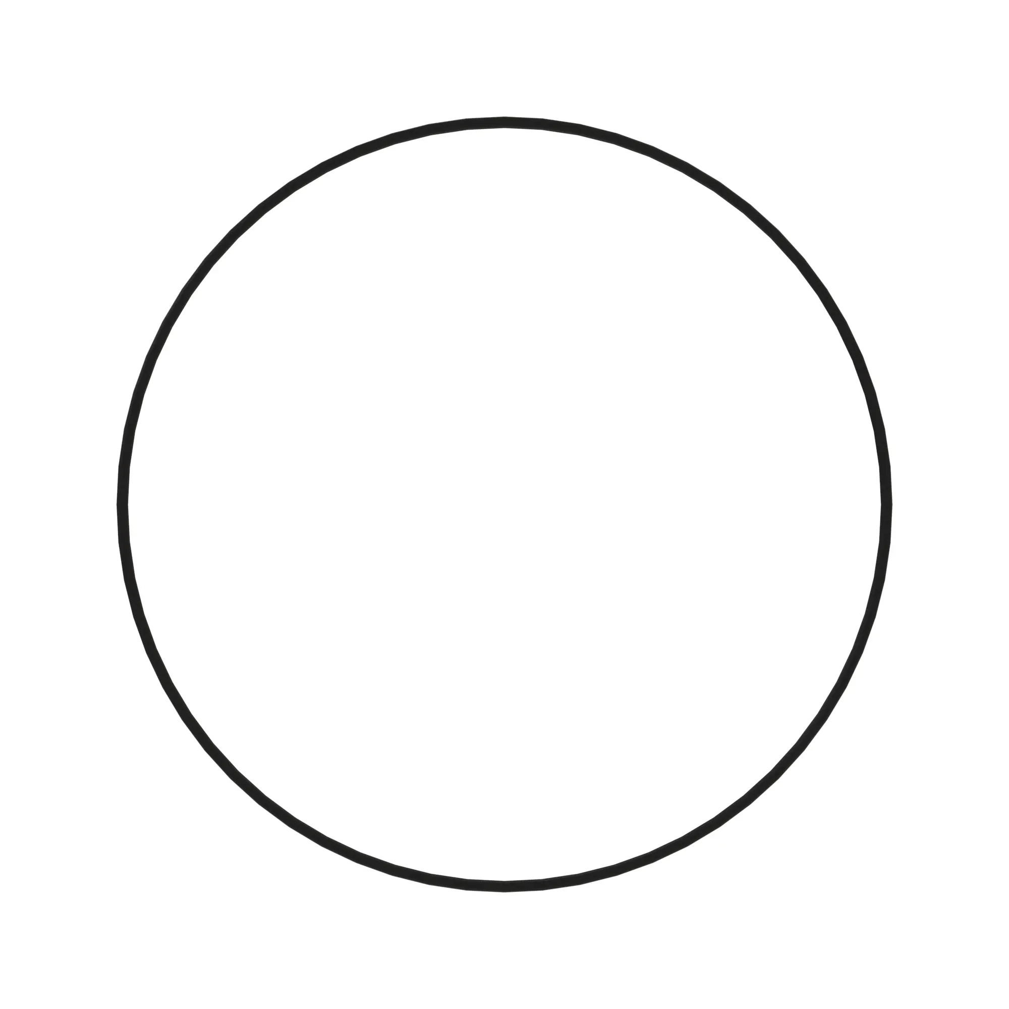 o-ring