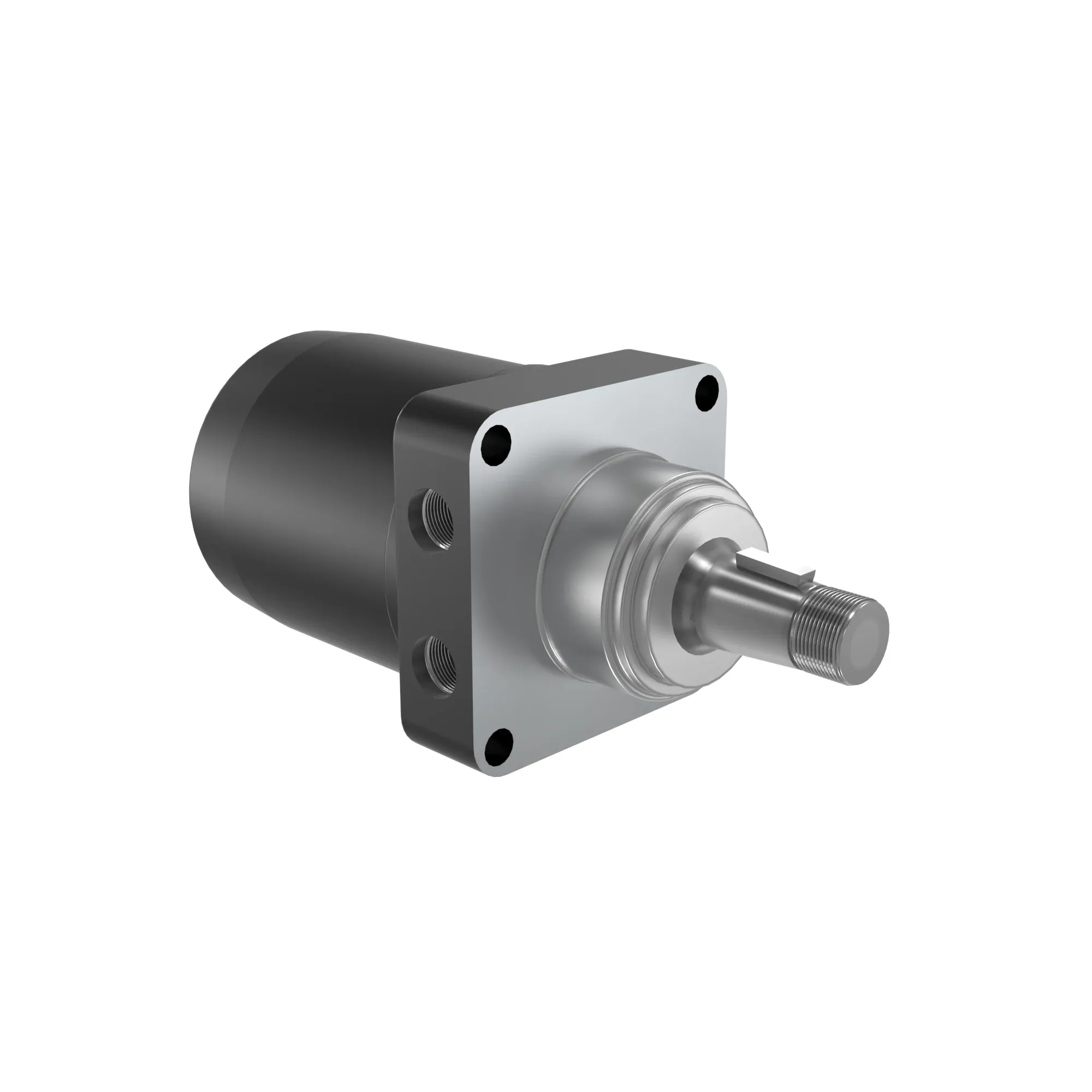 Hydraulic Motor