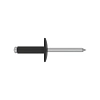 Rivet