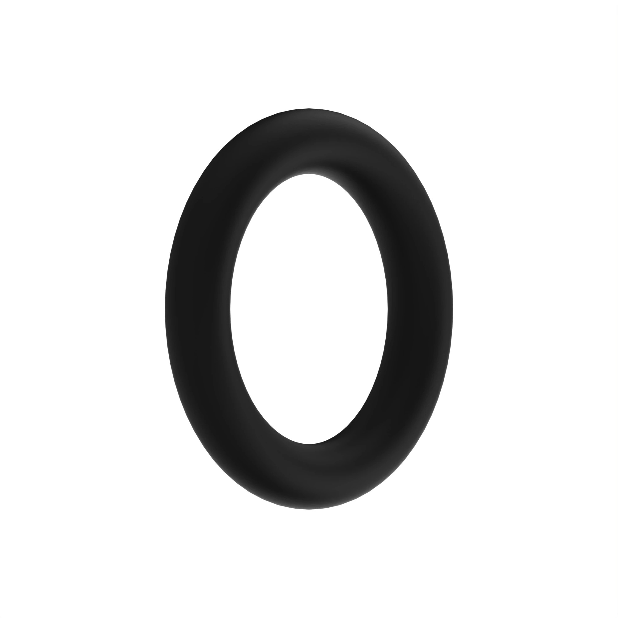 O-Ring