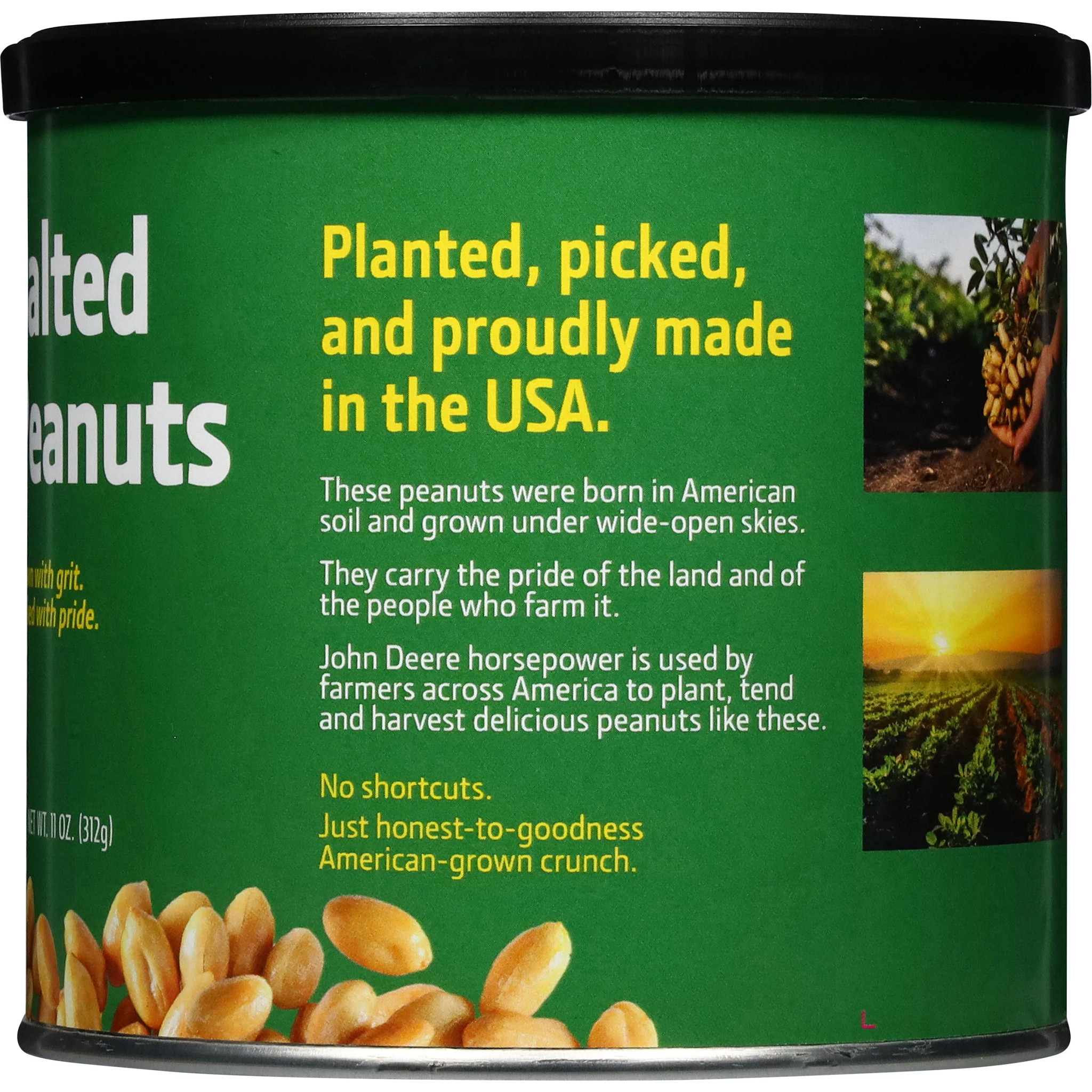 Salted Peanuts