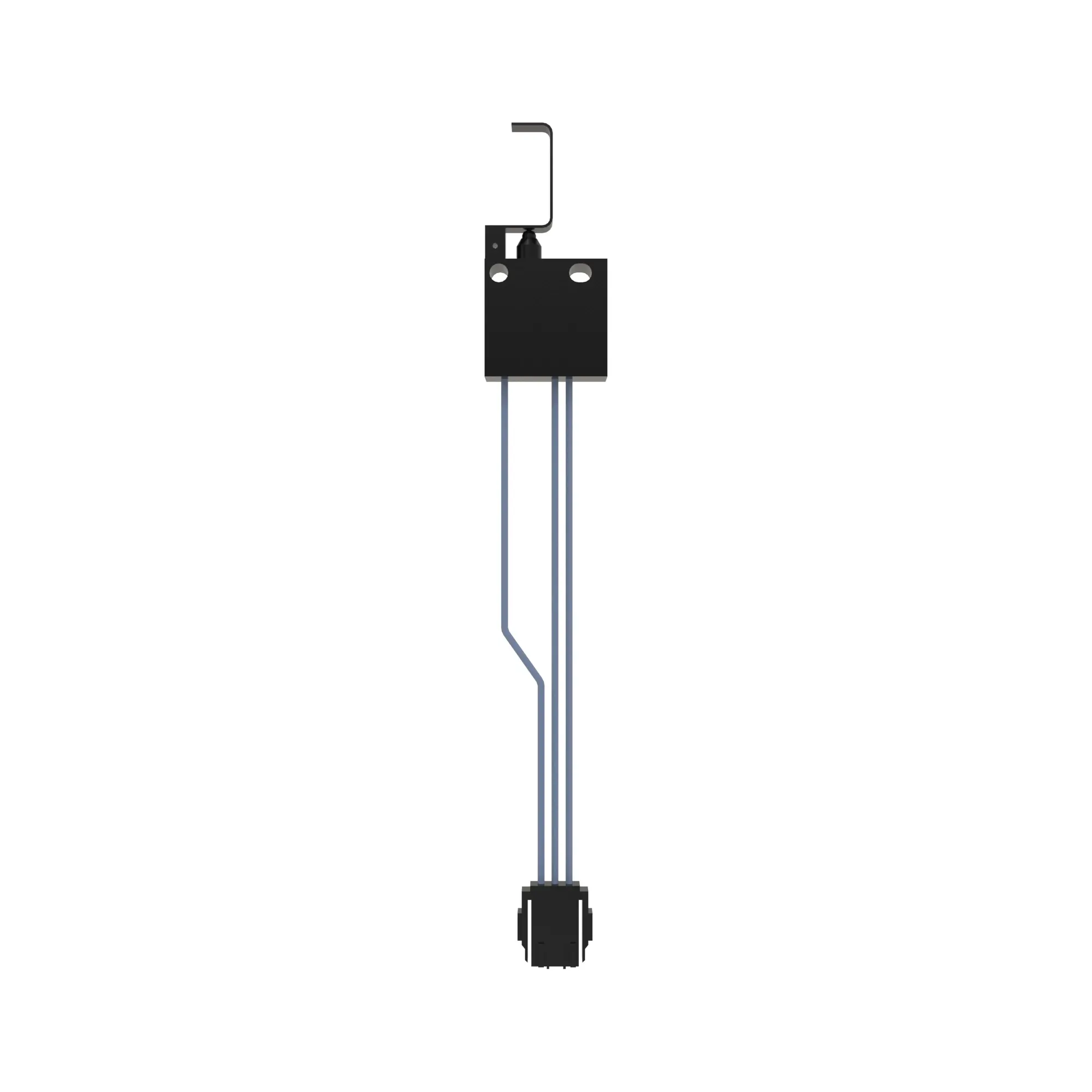 Rotary Switch