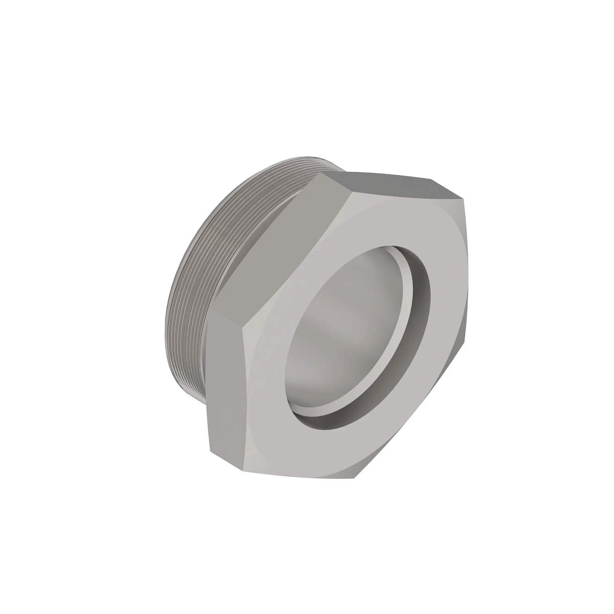 Plug, Fitting Adapter With O-Ring