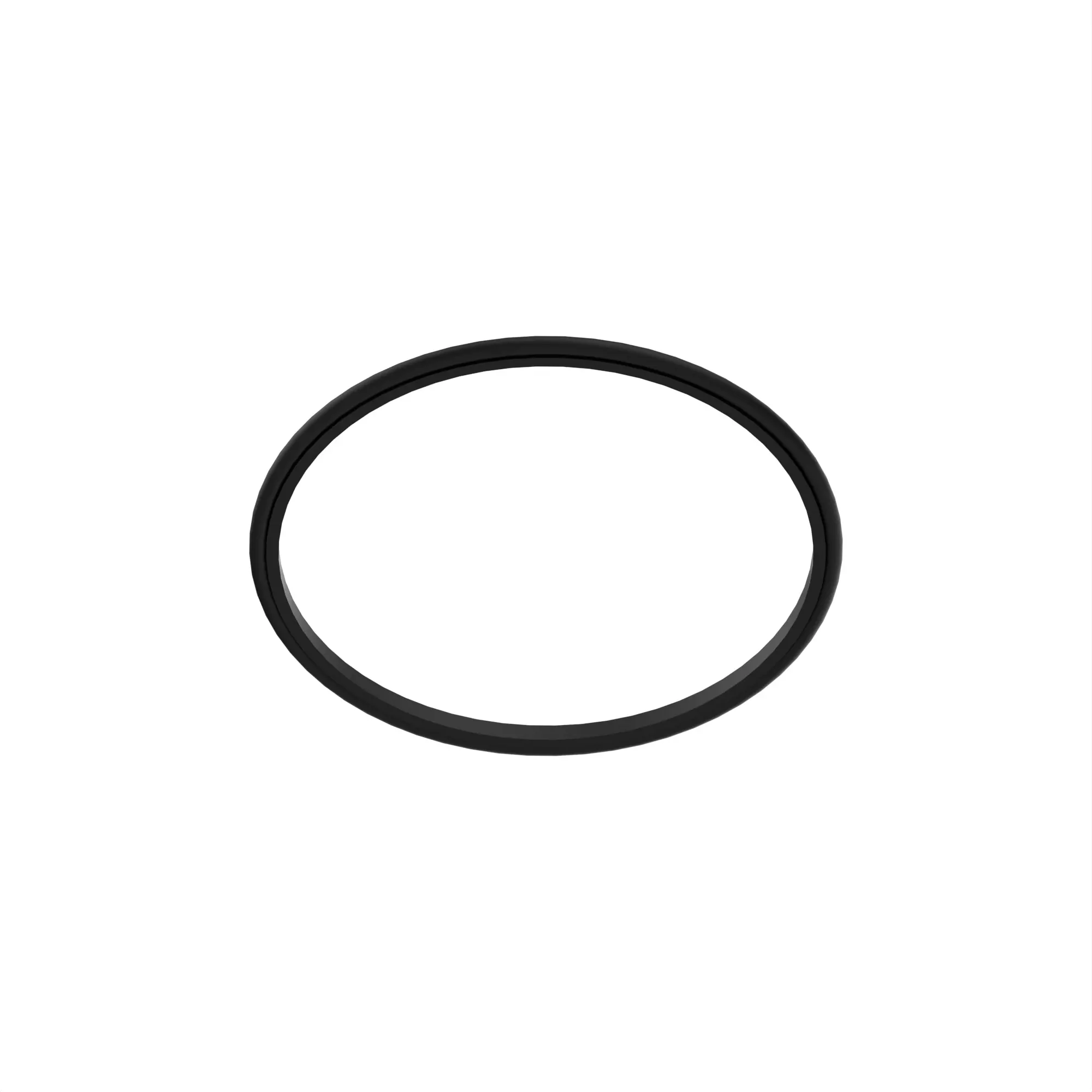 PISTON RING WITH O-RING INNER