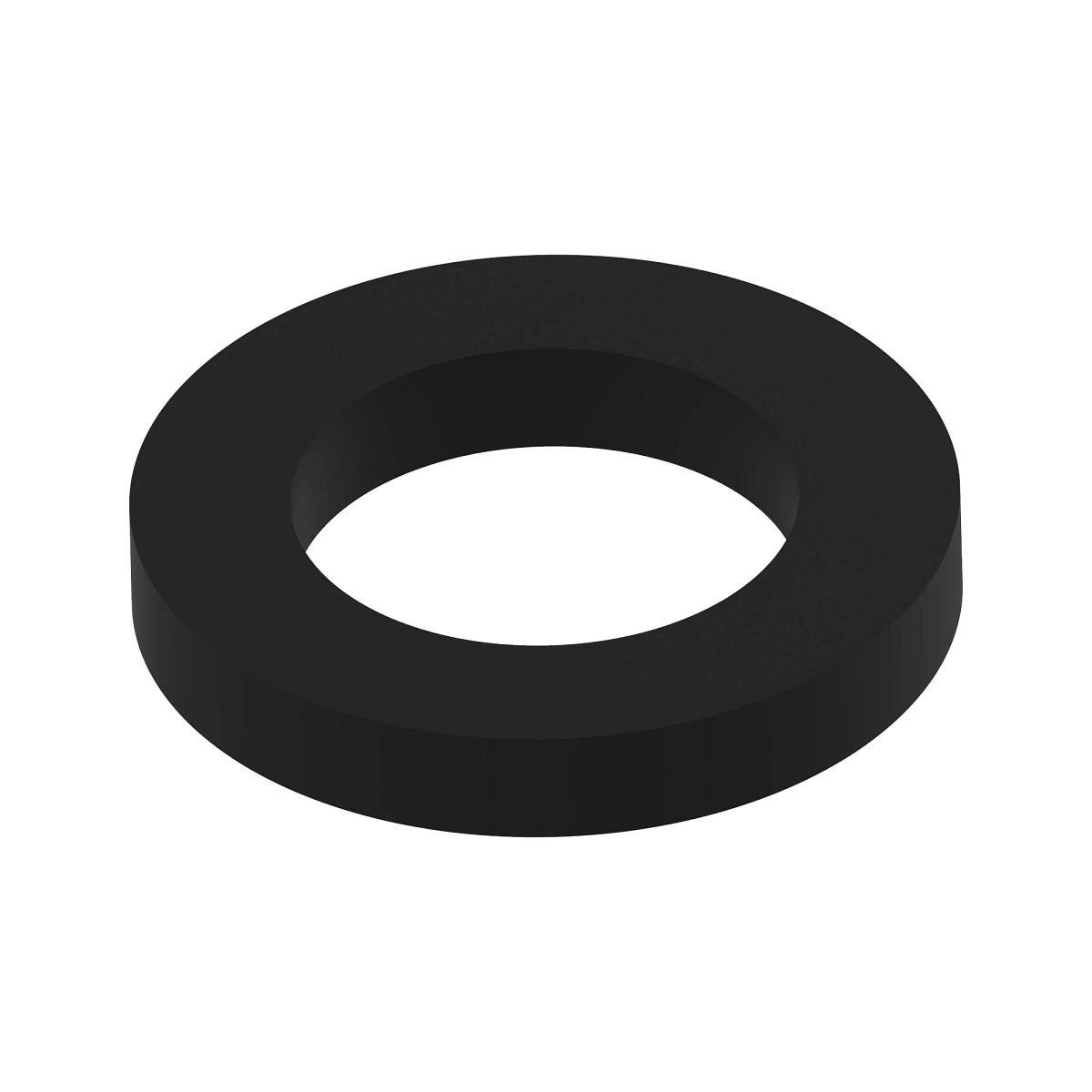 Viton Gasket (2")