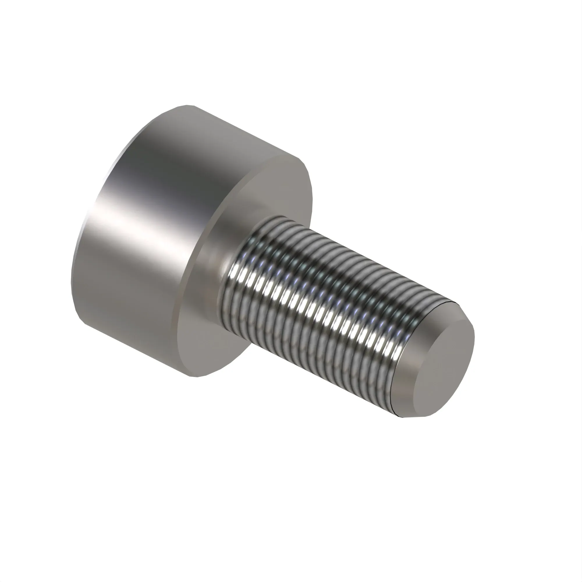 Fitting Plug