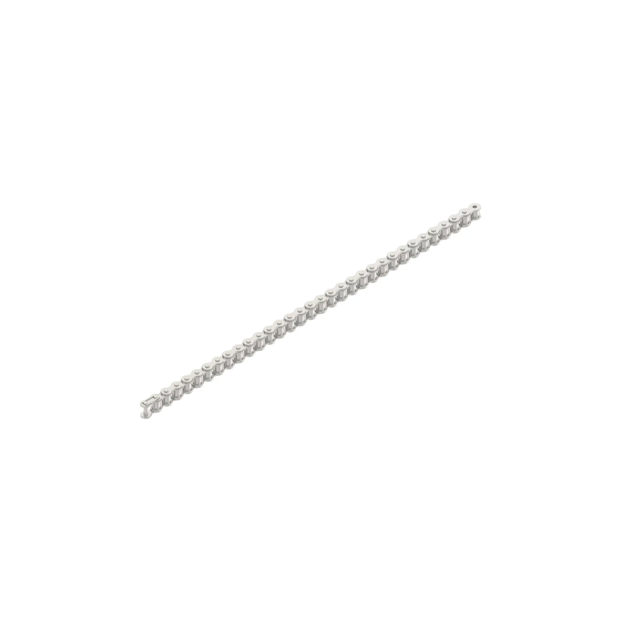 Roller Chain