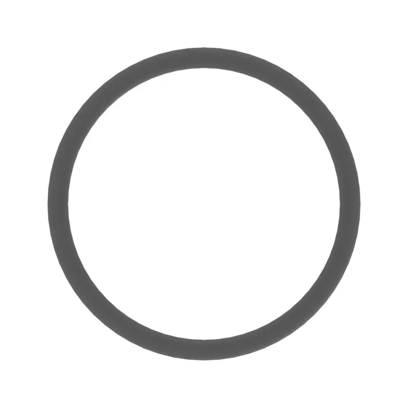 O-Ring