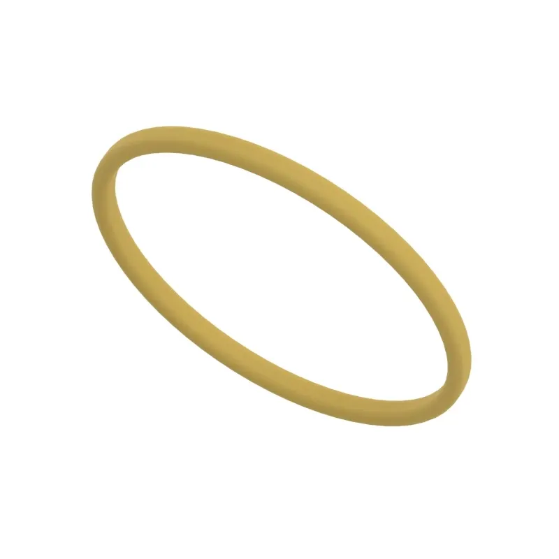 O-Ring