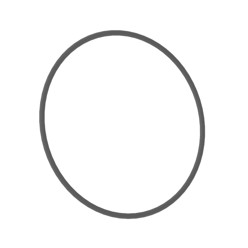 O-Ring