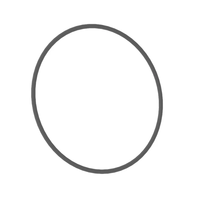 O-Ring