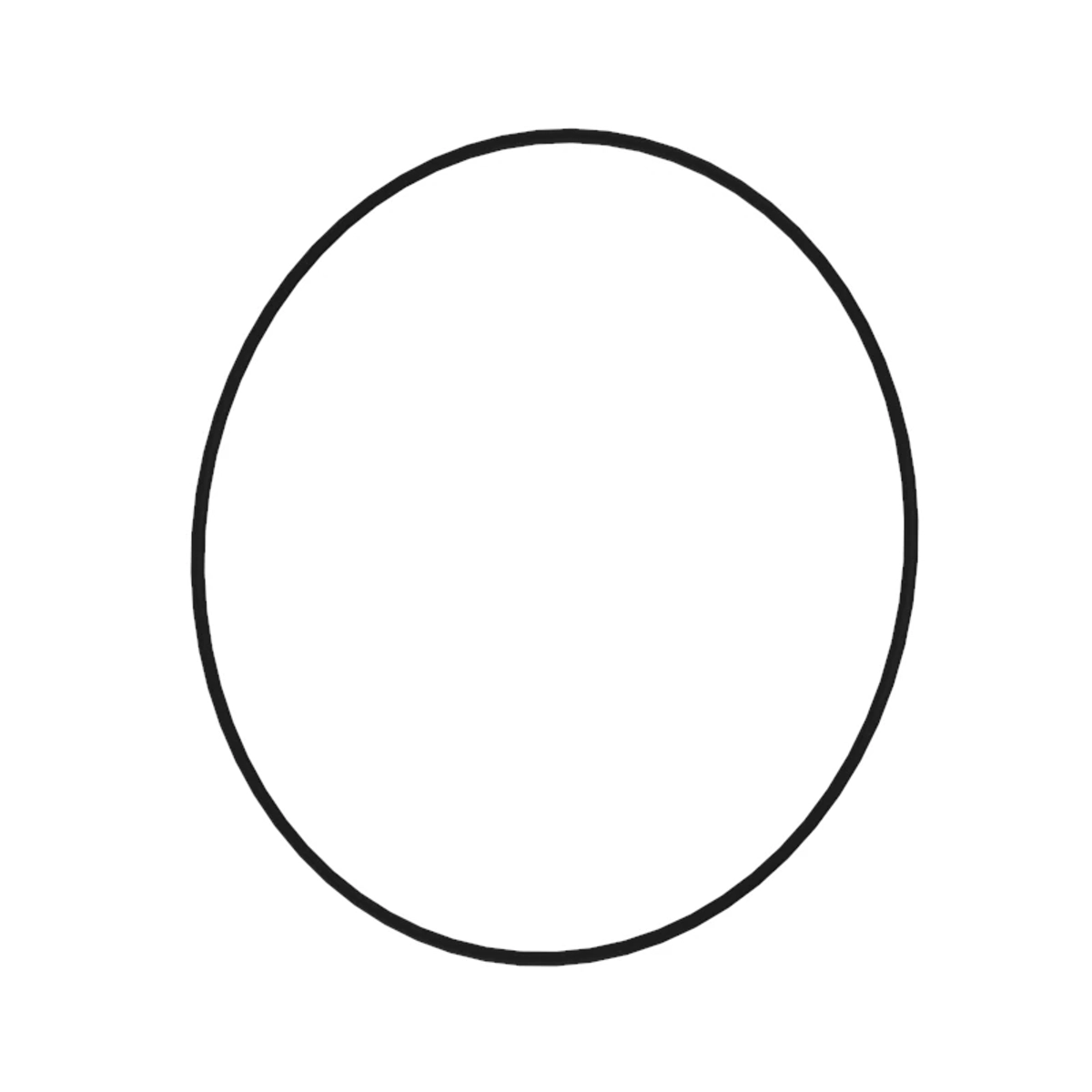 O-Ring