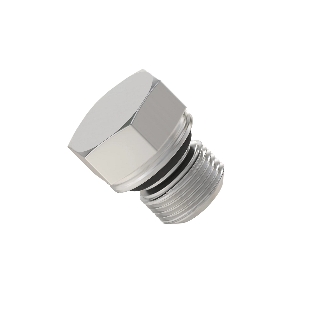 Fitting Plug