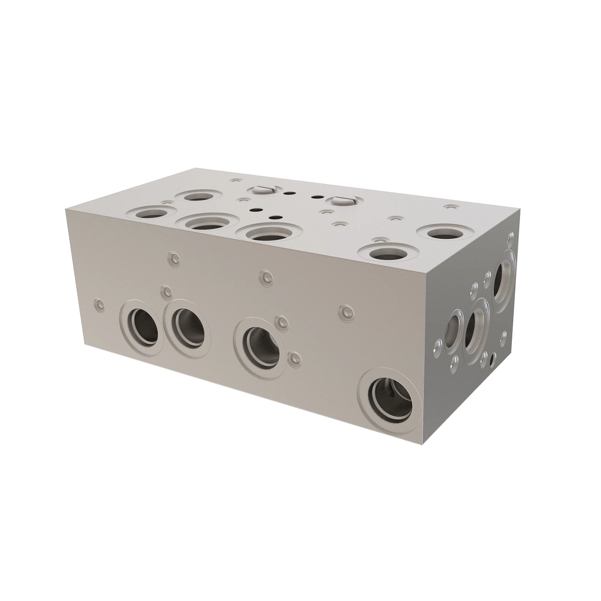 Manifold