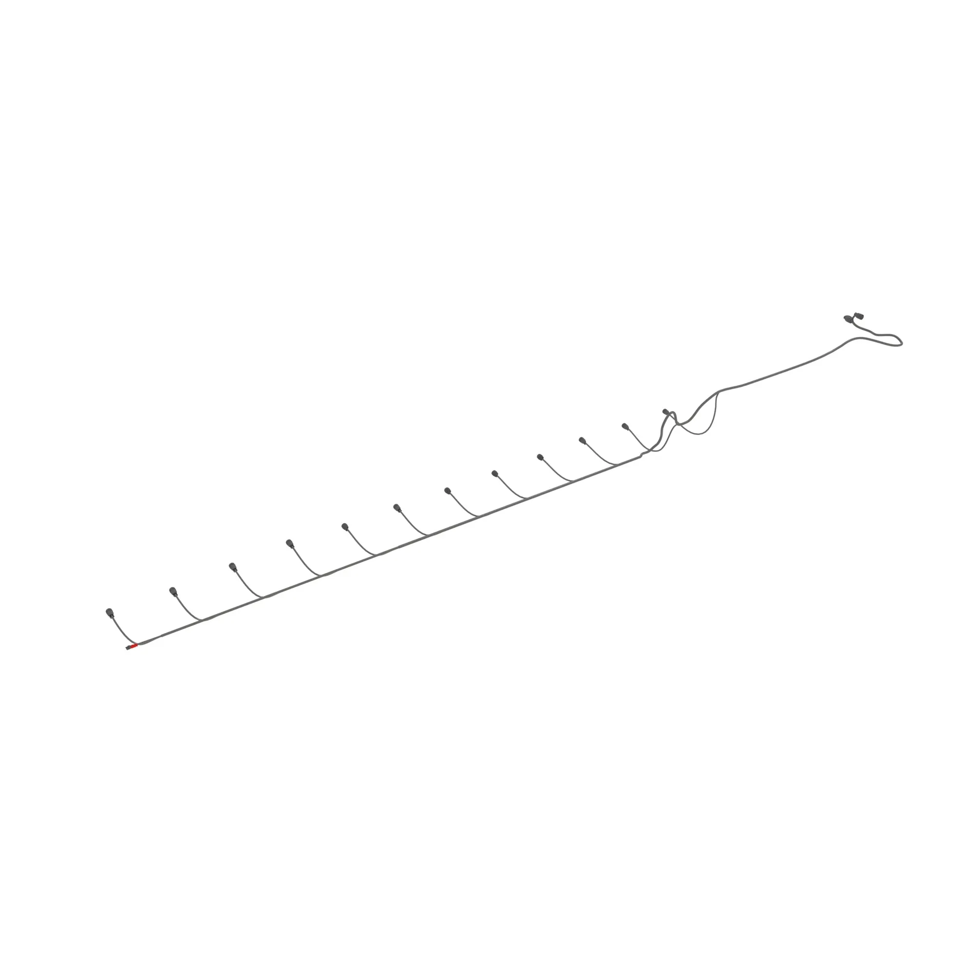 DB50 EE Brasil Right Backbone