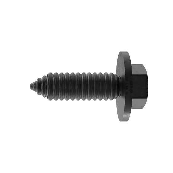 Screw With Washer