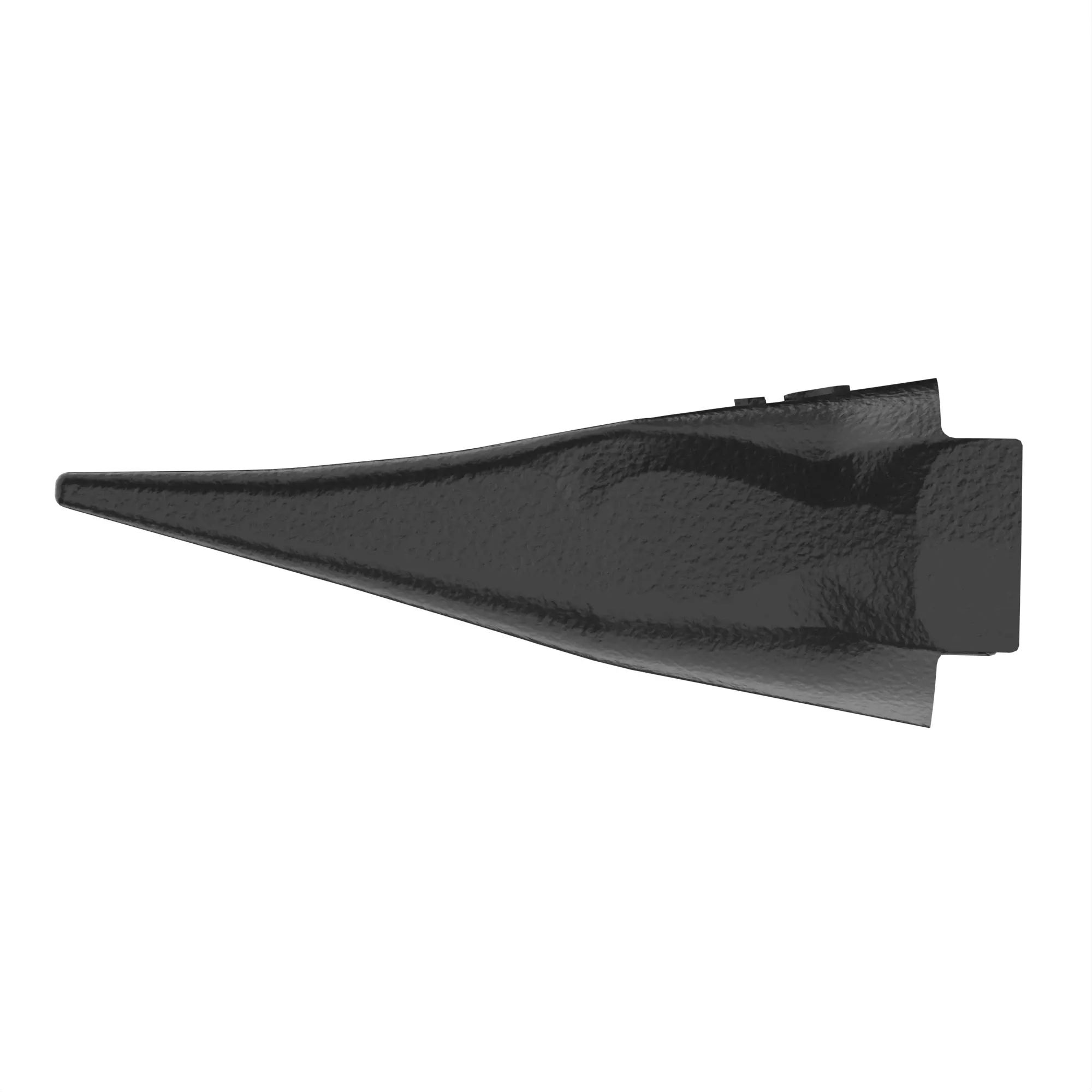 Twin Tiger Tooth