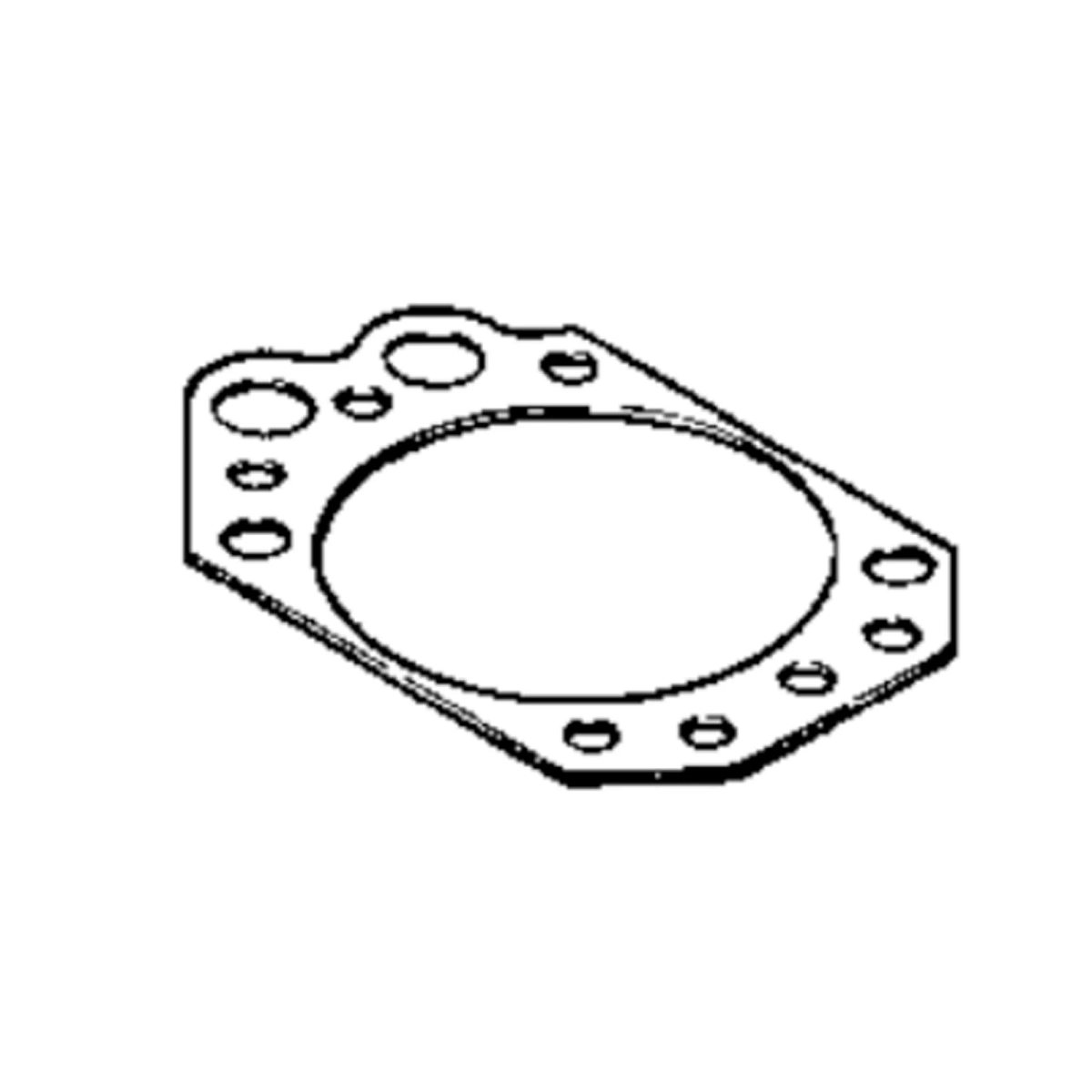 Sealing Ring