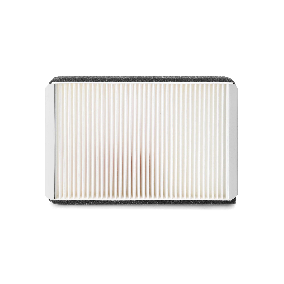 Fleetguard Cab Recirculation Air Filter - PMAF55829