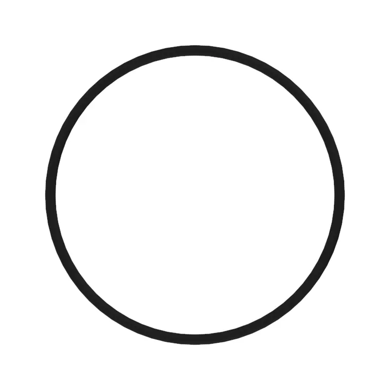 O-RING, PACKING