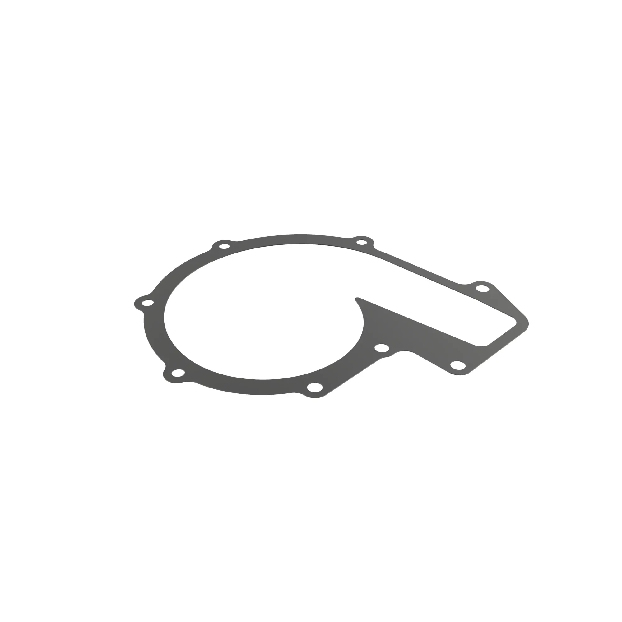 R50410: Water Pump Gasket