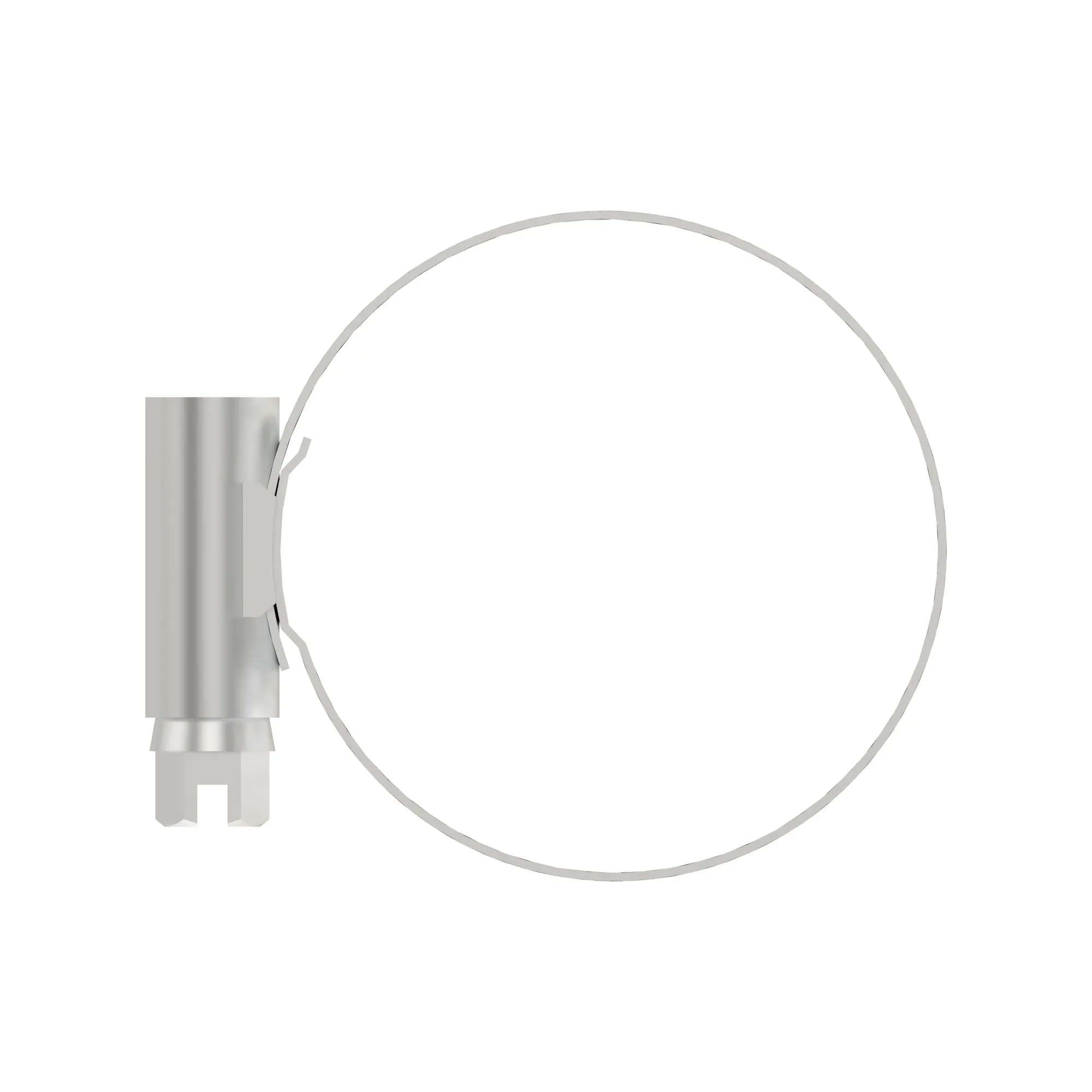 Hose Clamp