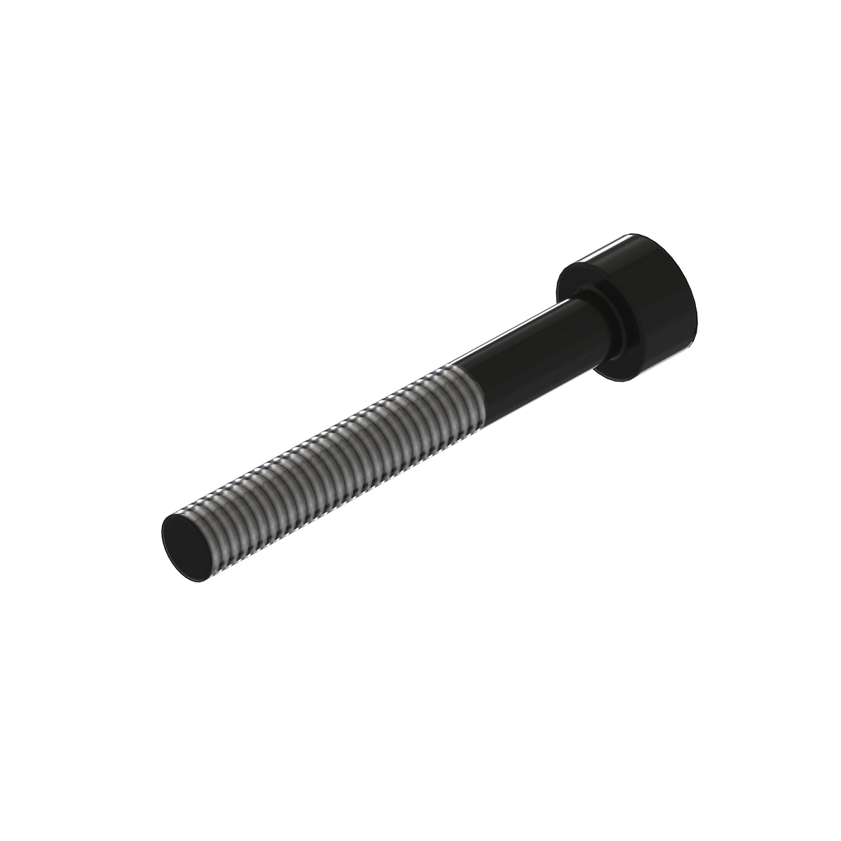Socket Head Screw