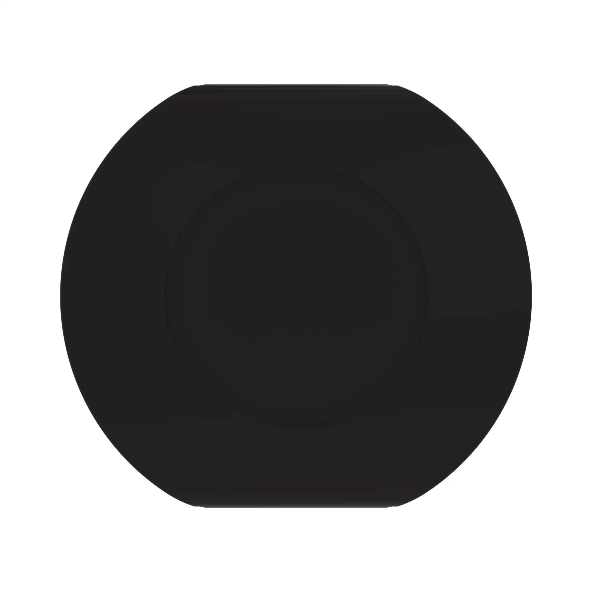 CAP PLUG (DBL DISK)