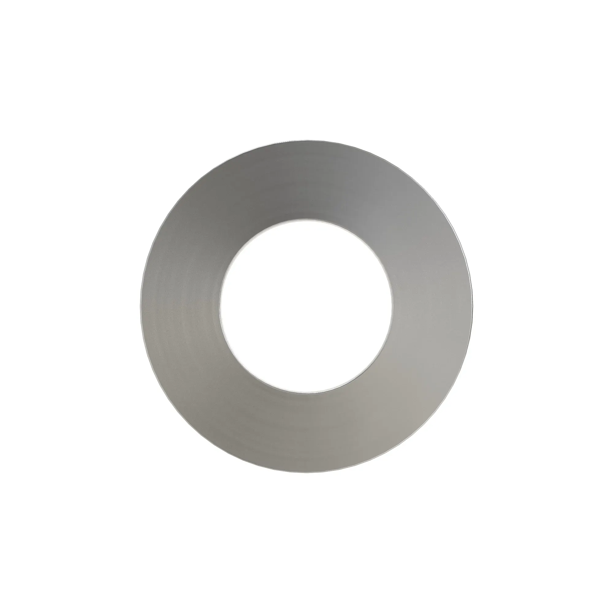 SPRING, DISK
