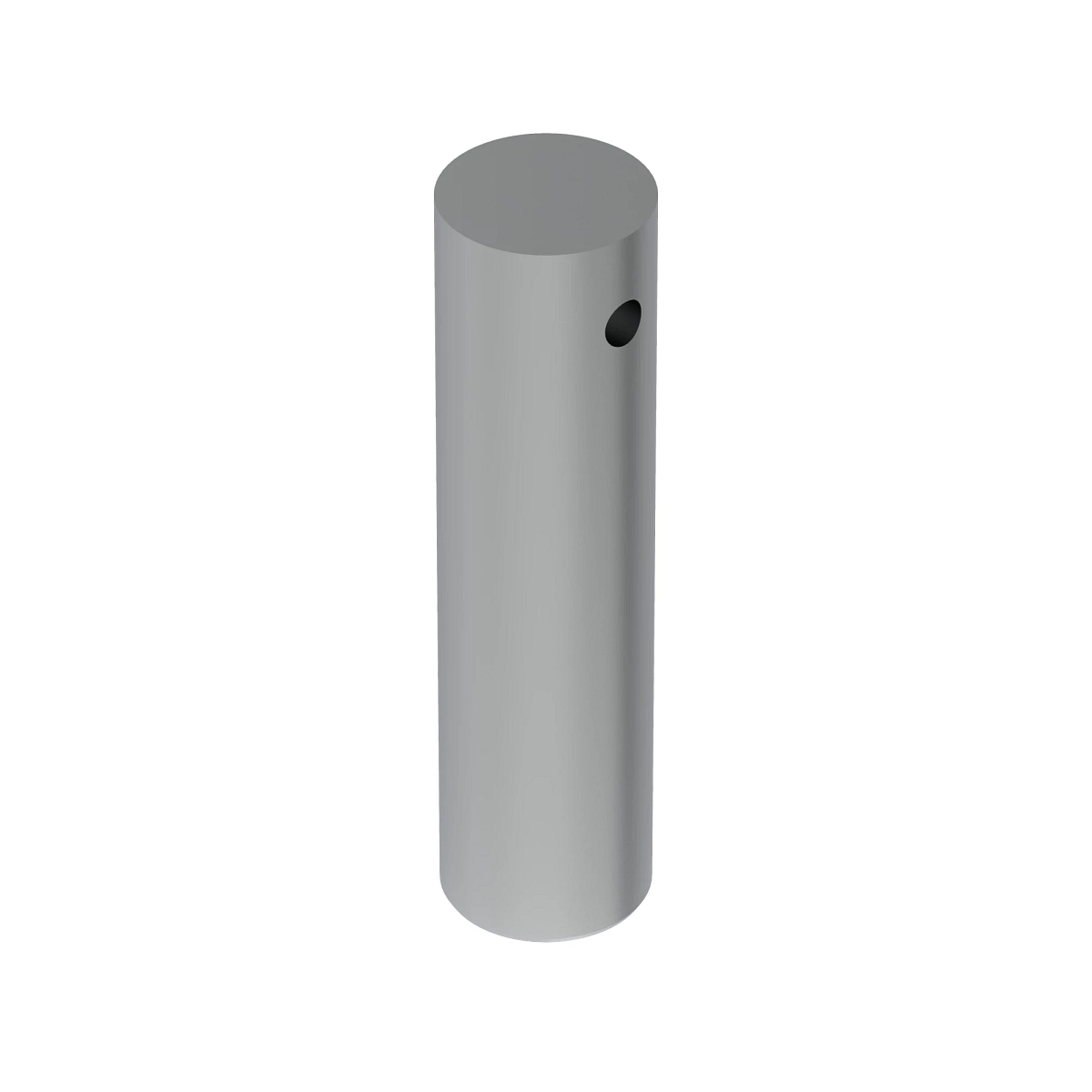 Pin Fastener