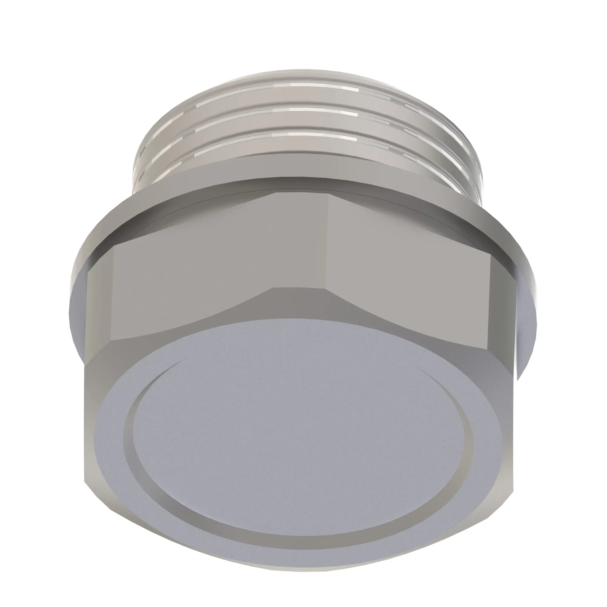 Fitting Plug
