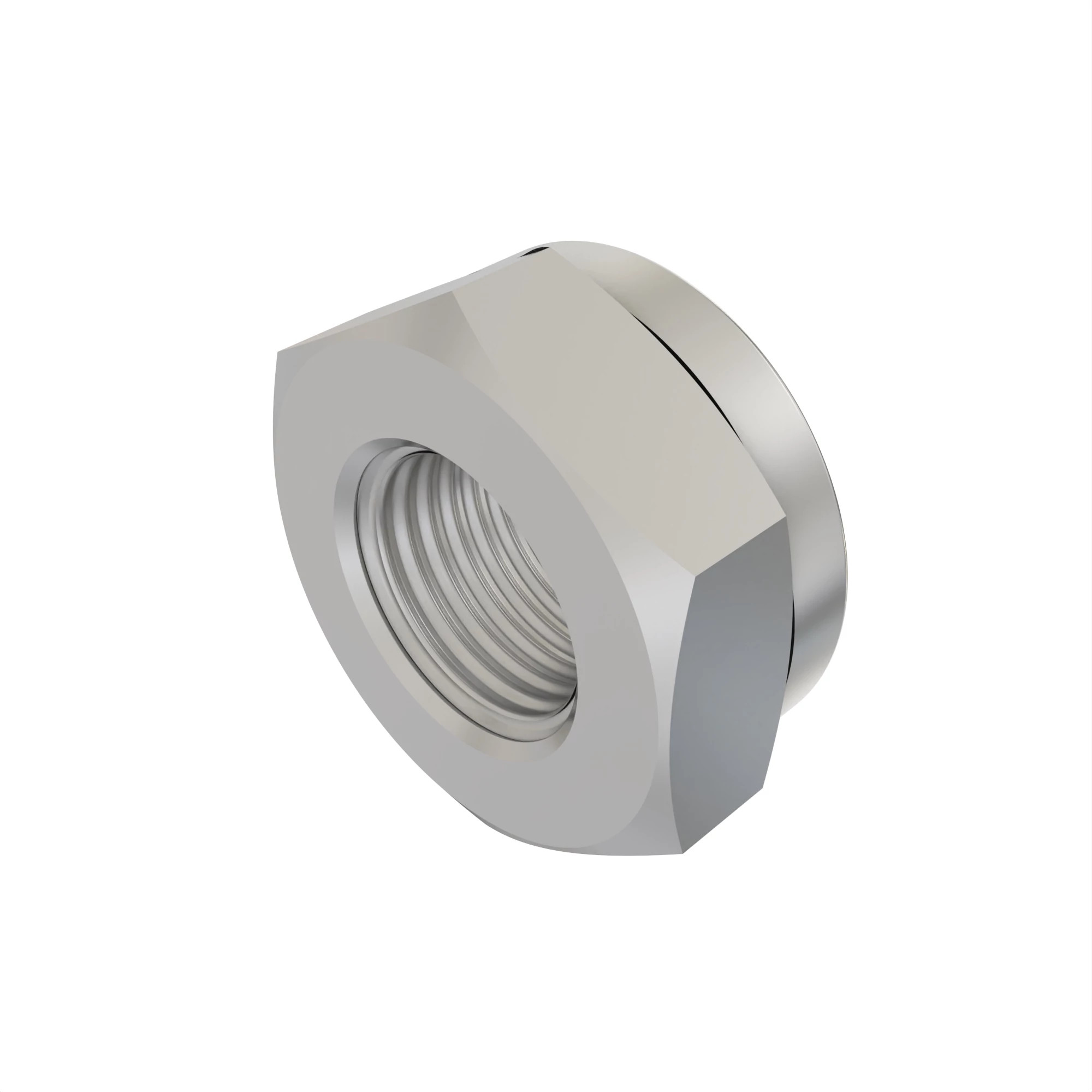 L32843: Hexagonal Stake Nut, M28.6