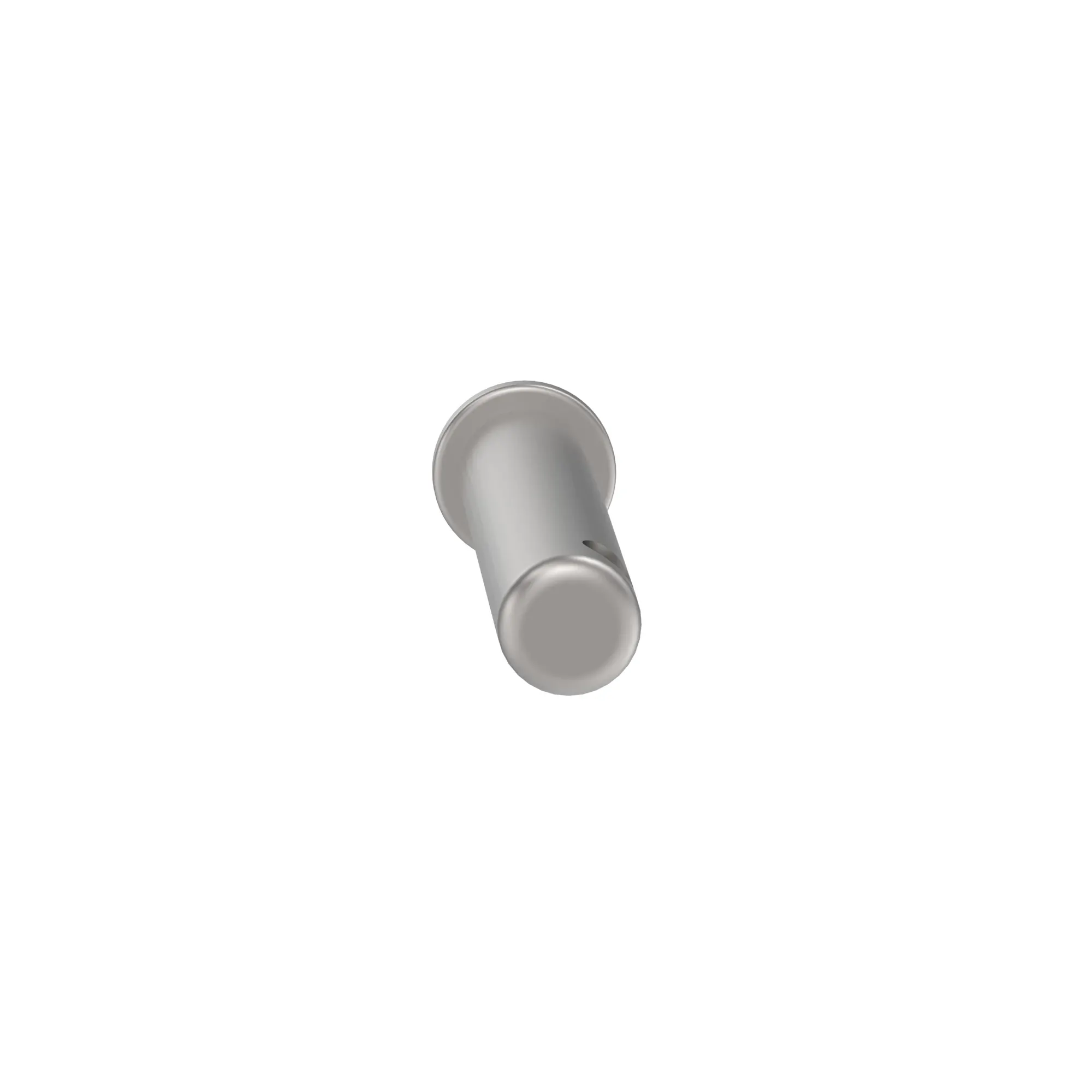 Pin Fastener