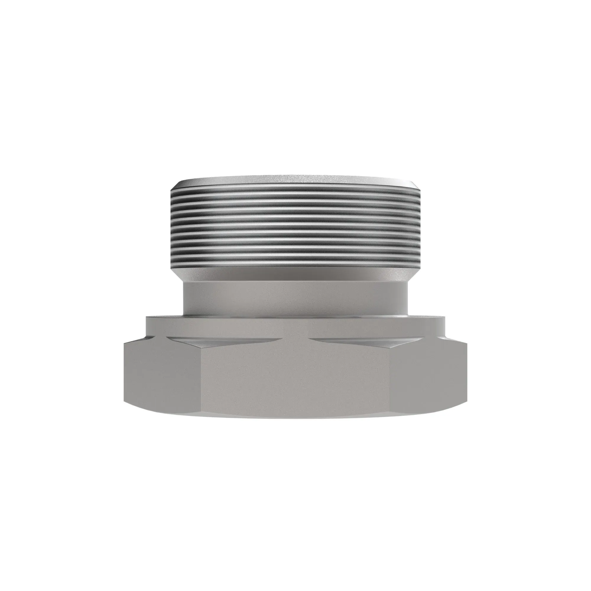 Fitting Plug