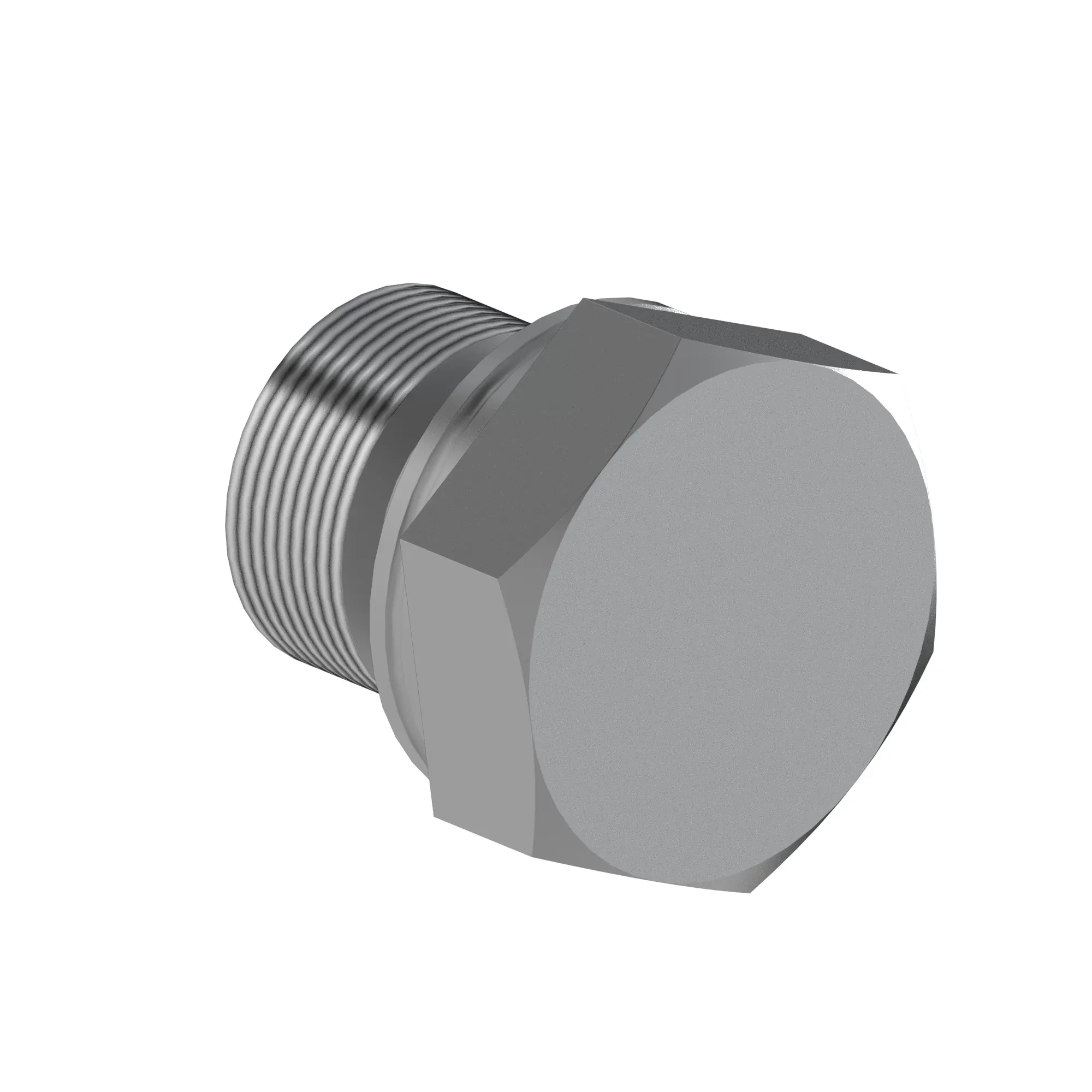 Fitting Plug