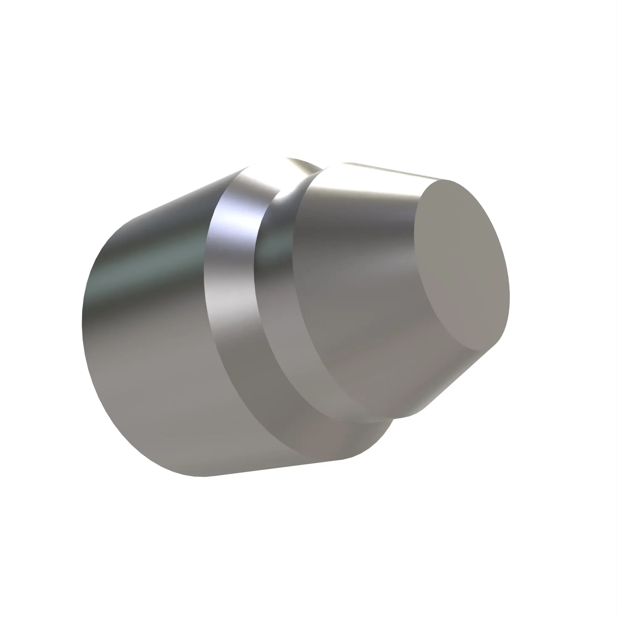 Fitting Plug