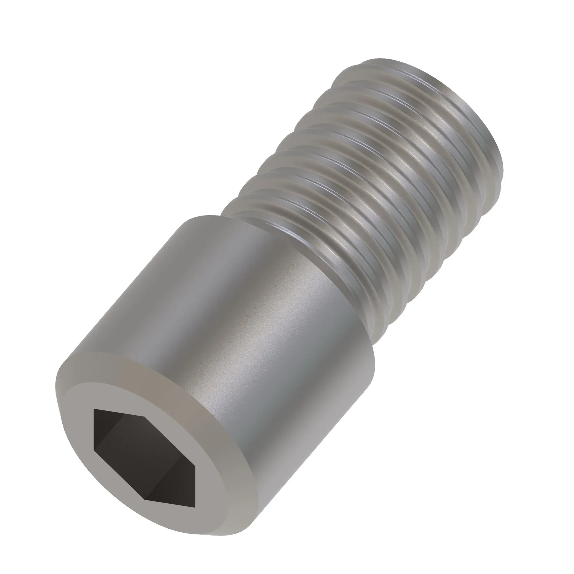 Socket Head Screw