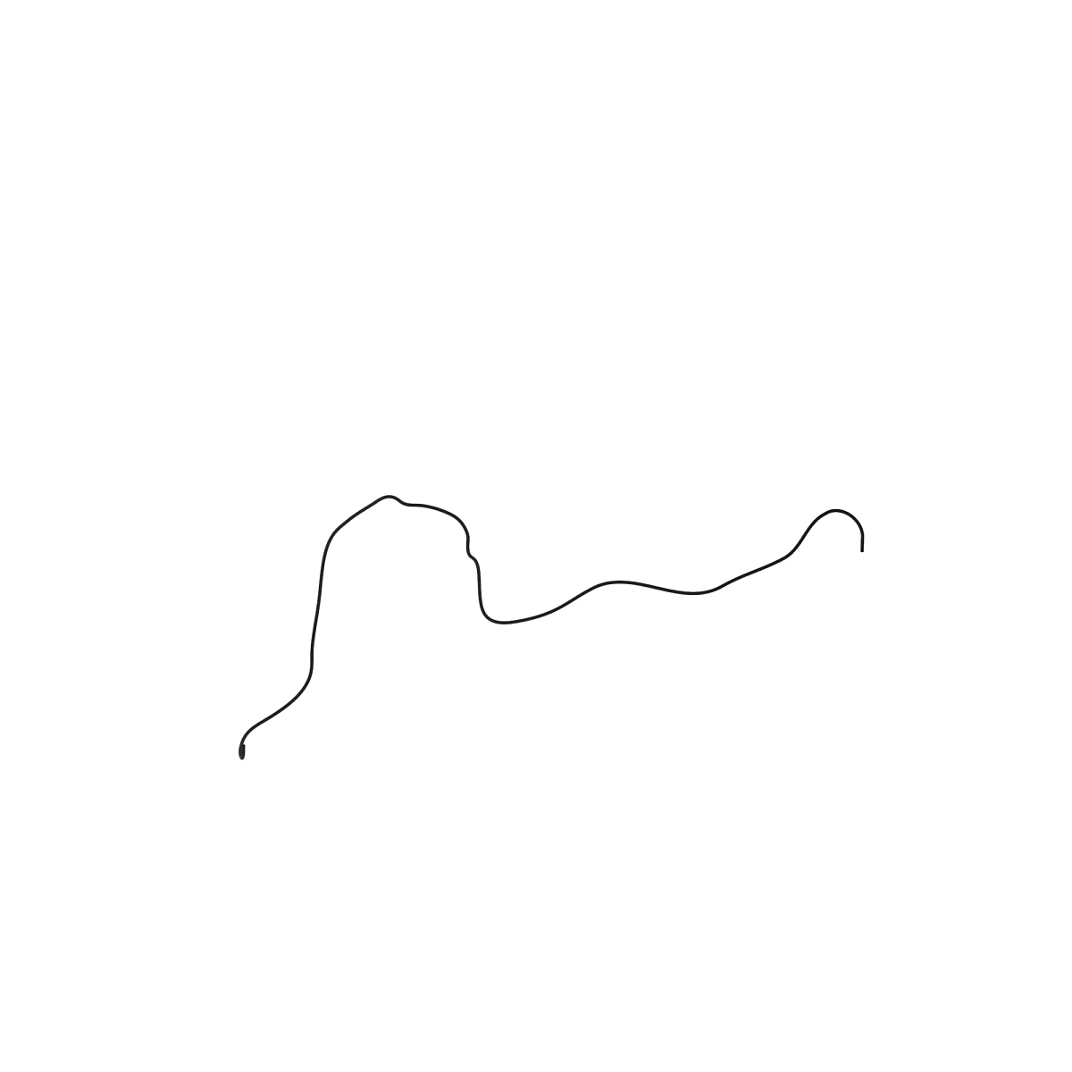 HOSE, FUEL COOLER INNER