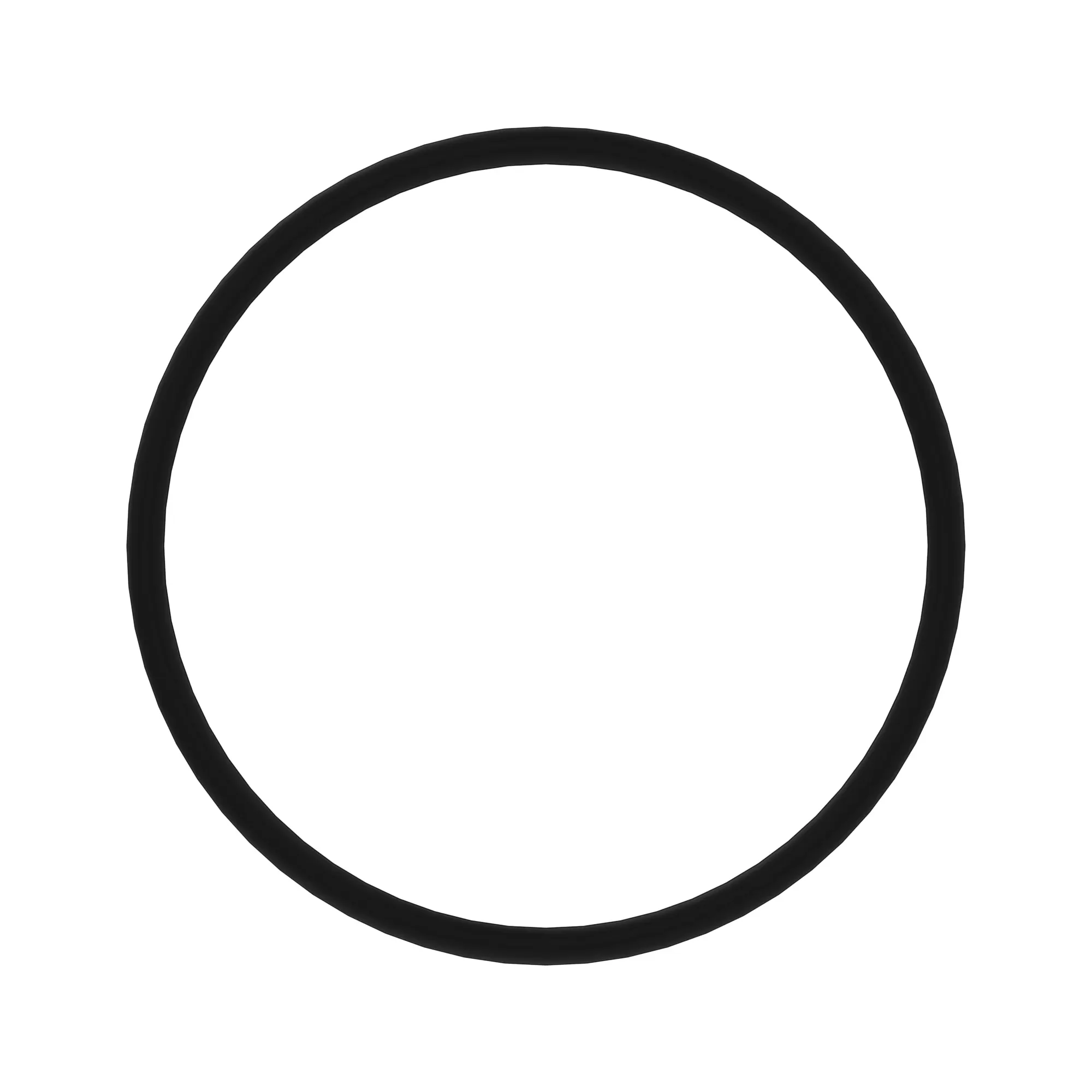 O-RING