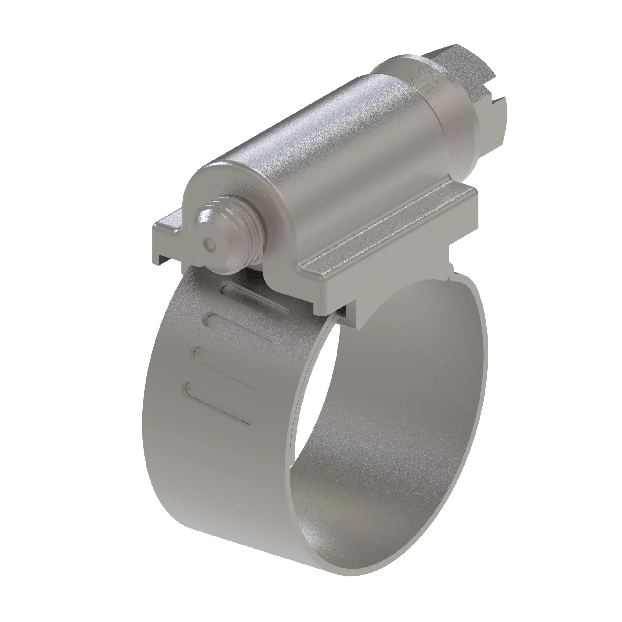 Hose Clamp