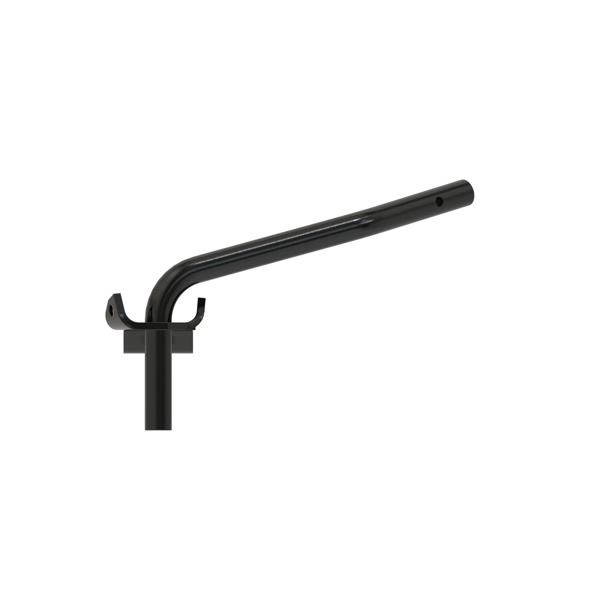 Arm
