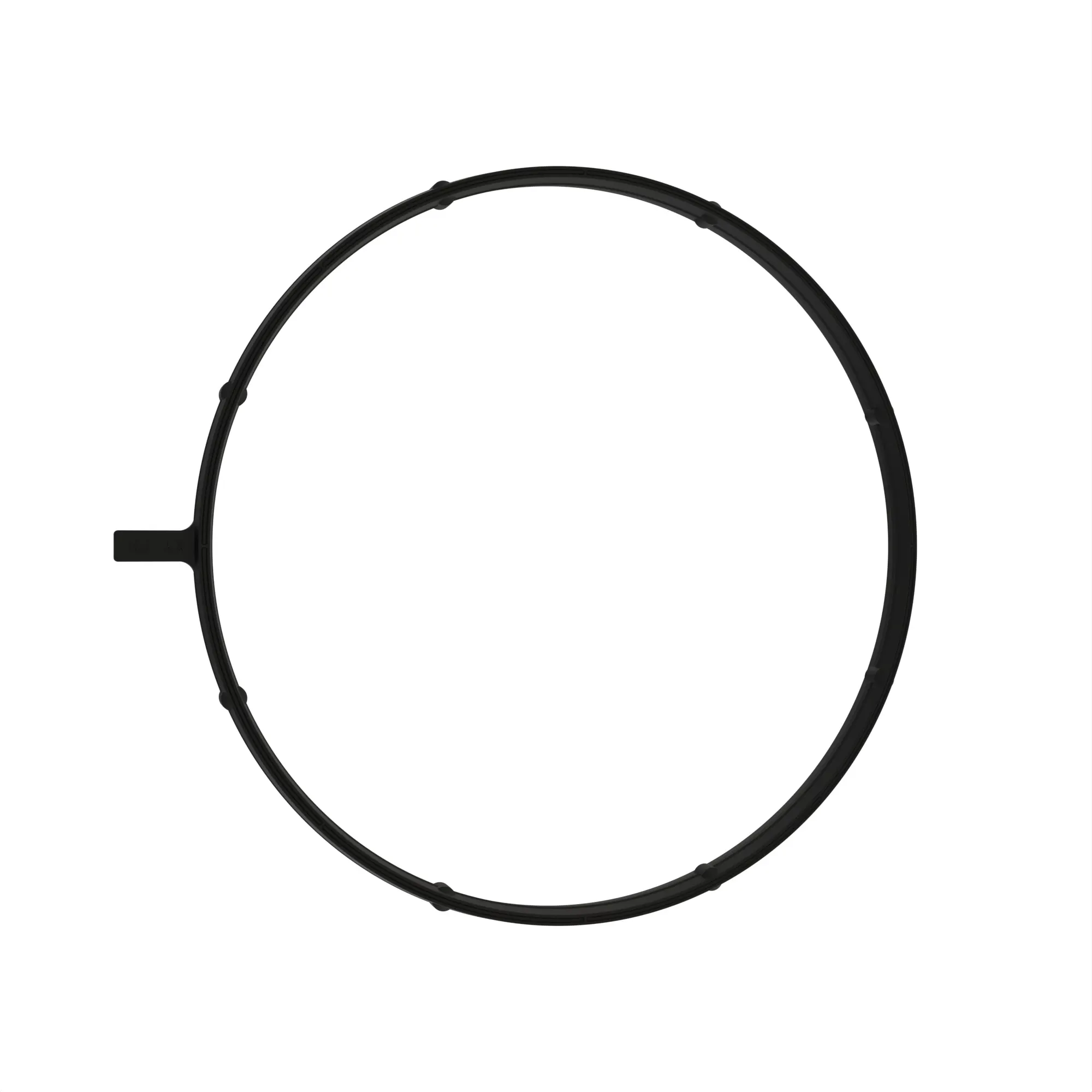 seal