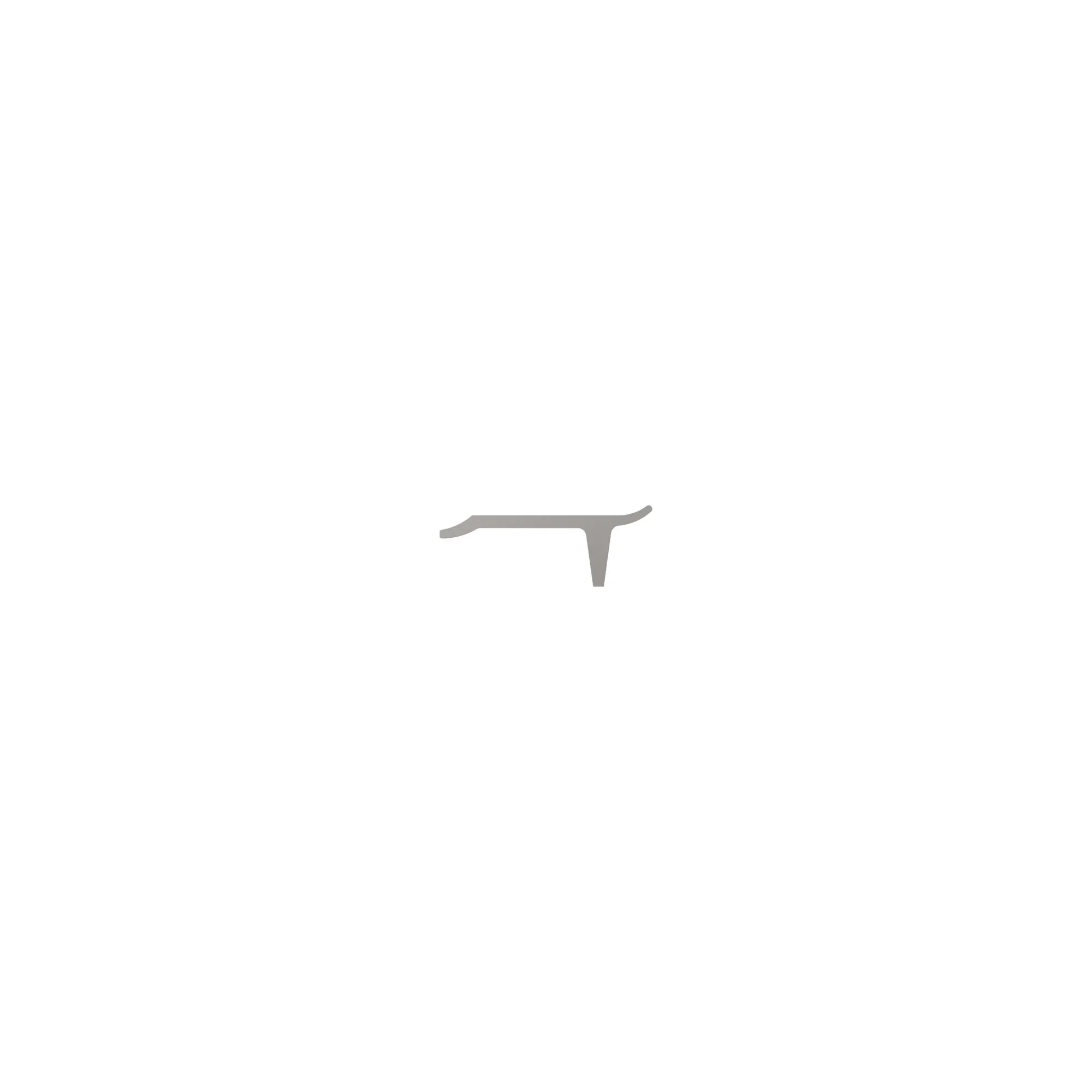 Single Bar Shoe