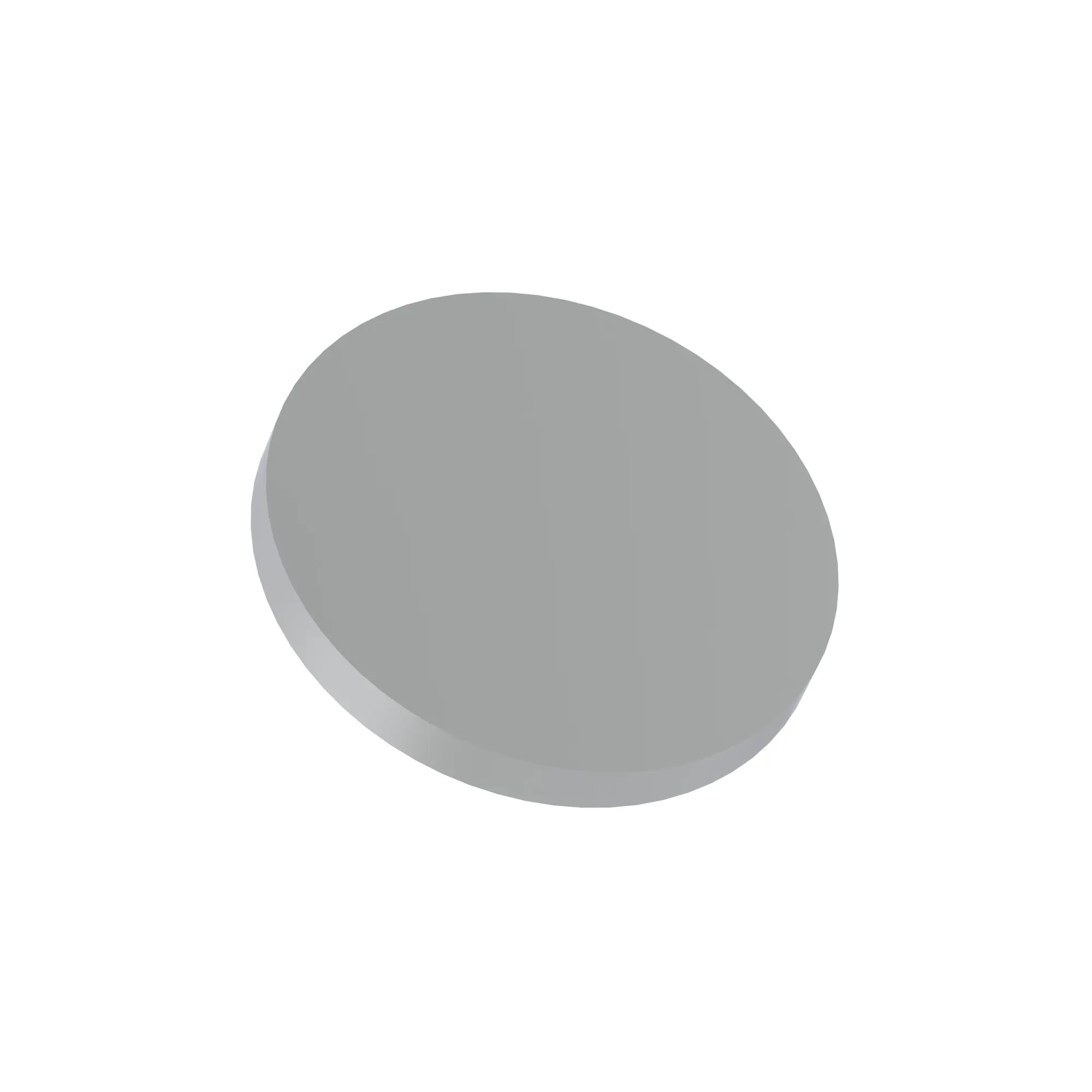 Disk