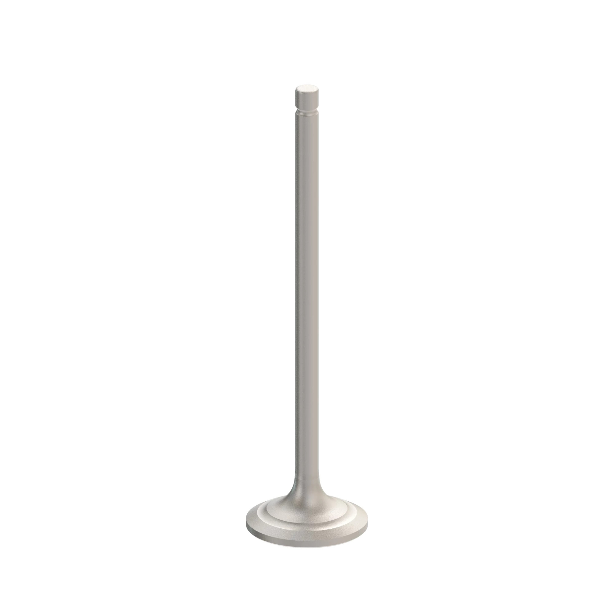 INTAKE VALVE, (S350 FT4)