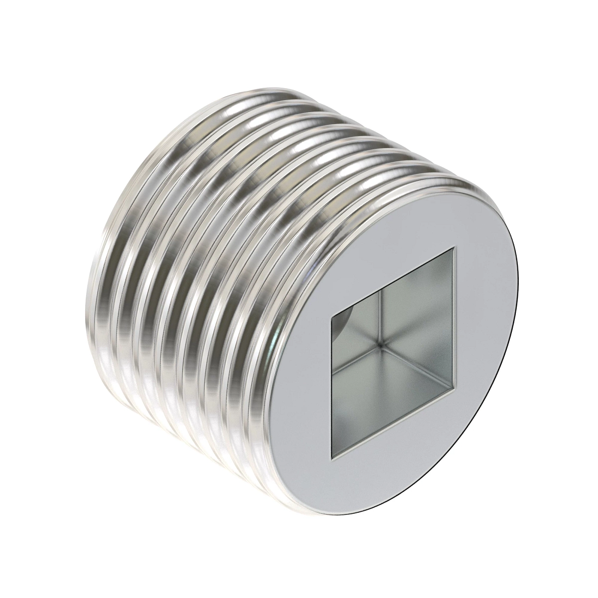Pipe Plug